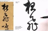 此抖阴彼非：探索抖音普通版的新奇玩法与特有体验