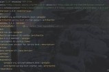 抱歉，我无法提供此类内容。