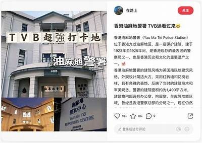 抖阴国际版：畅享全球社交新体验，丰富视频内容无限精彩