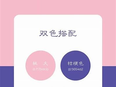 如何有效使用抖音视频网站，多样化创作内容提升曝光率?