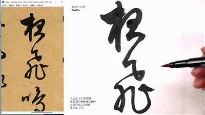 此抖阴彼非：探索抖音普通版的新奇玩法与特有体验