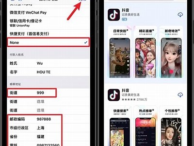 如何在苹果手机上安装抖音的详细步骤与技巧解析