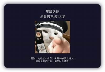 揭密djd抖阴：如何安全有效地使用社交媒体保护隐私