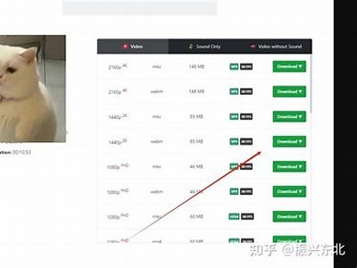 如何下载抖阴苹果版？详细步骤分享与注意事项