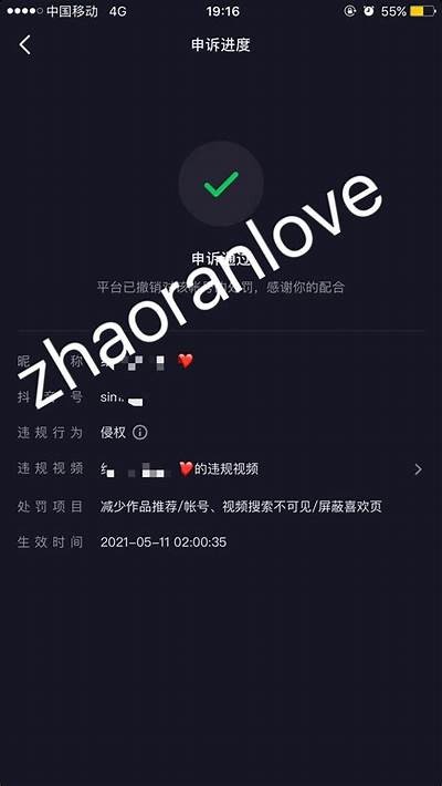 抖阴软件收费标准揭秘：用户必须了解的费用详情